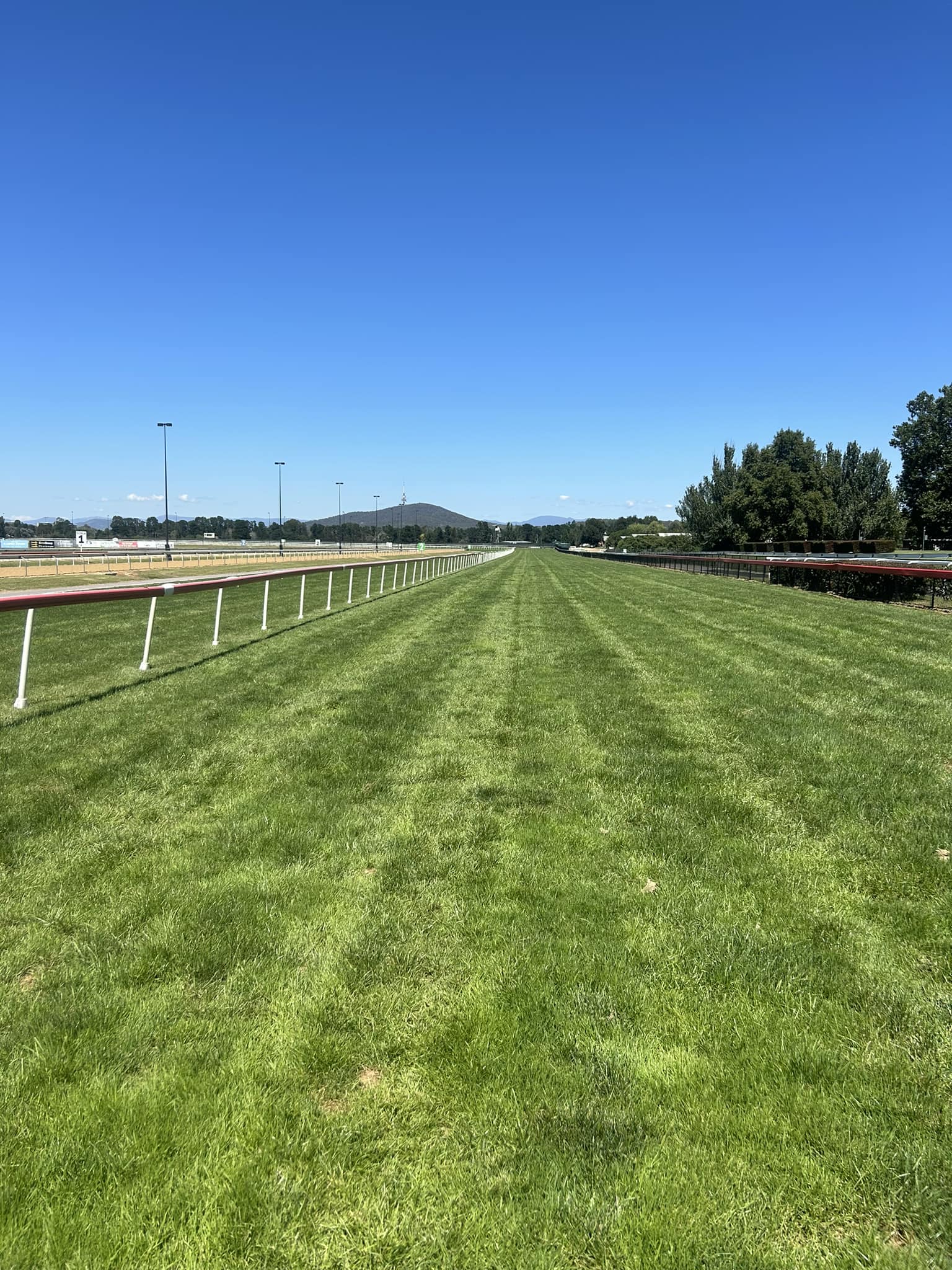 Thoroughbred Park, ACT image